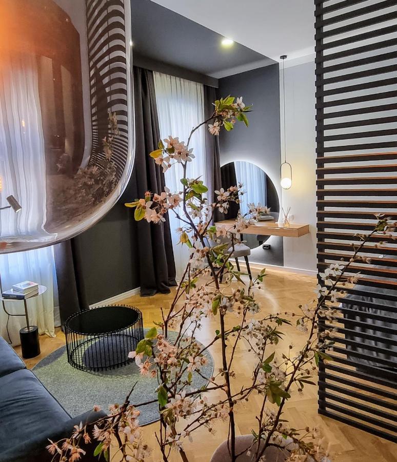 Mint Boutique Studio Apartments 3 萨格勒布 外观 照片